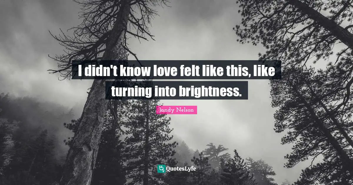 I didn't know love felt like this, like turning into brightness.