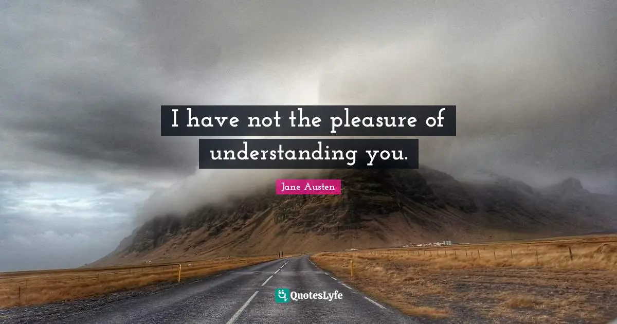 Understanding You Quotes: "I have not the pleasure of understanding you."