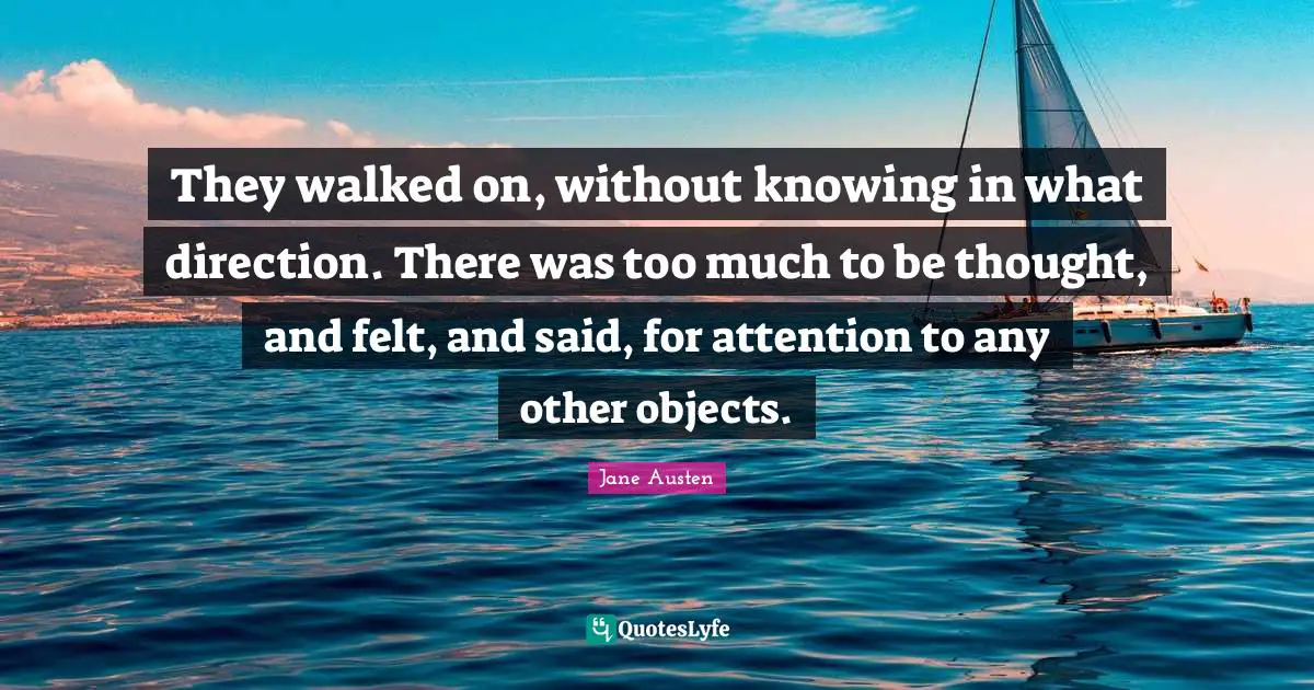Jane Austen Quotes: "They walked on, without knowing in what direction. There was too much to be thought, and felt, and said, for attention to any other objects."