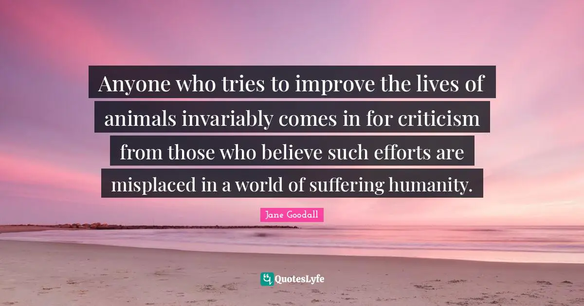 Anyone who tries to improve the lives of animals invariably comes in for criticism from those who believe such efforts are misplaced in a world of suffering humanity.