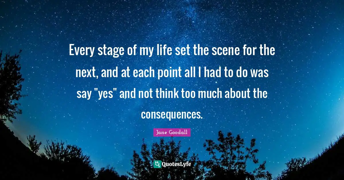 Every stage of my life set the scene for the next, and at each point all I had to do was say "yes" and not think too much about the consequences.