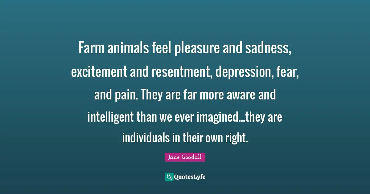 Farm animals feel pleasure and sadness, excitement and resentment, depression, fear, and pain. They are far more aware and intelligent than we ever imagined...they are individuals in their own right.