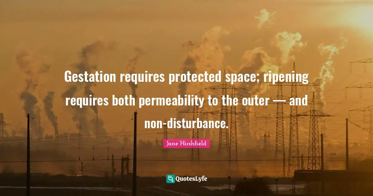 Ripening Quotes: "Gestation requires protected space; ripening requires both permeability to the outer — and non-disturbance."