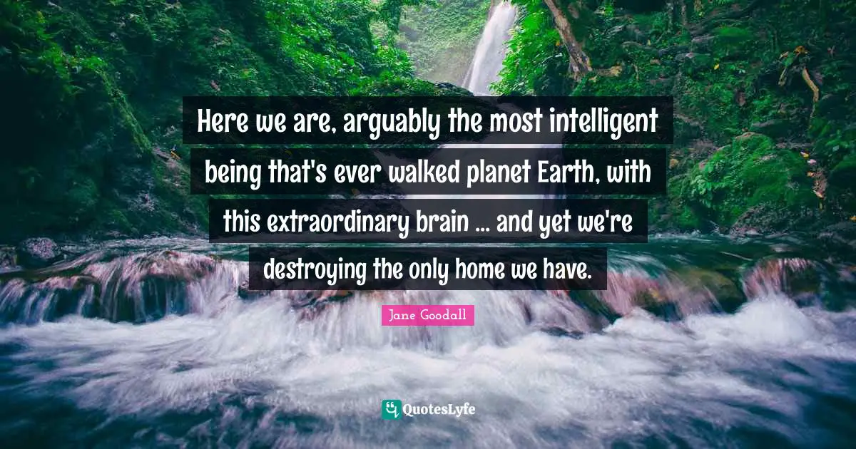 Here we are, arguably the most intelligent being that's ever walked planet Earth, with this extraordinary brain ... and yet we're destroying the only home we have.