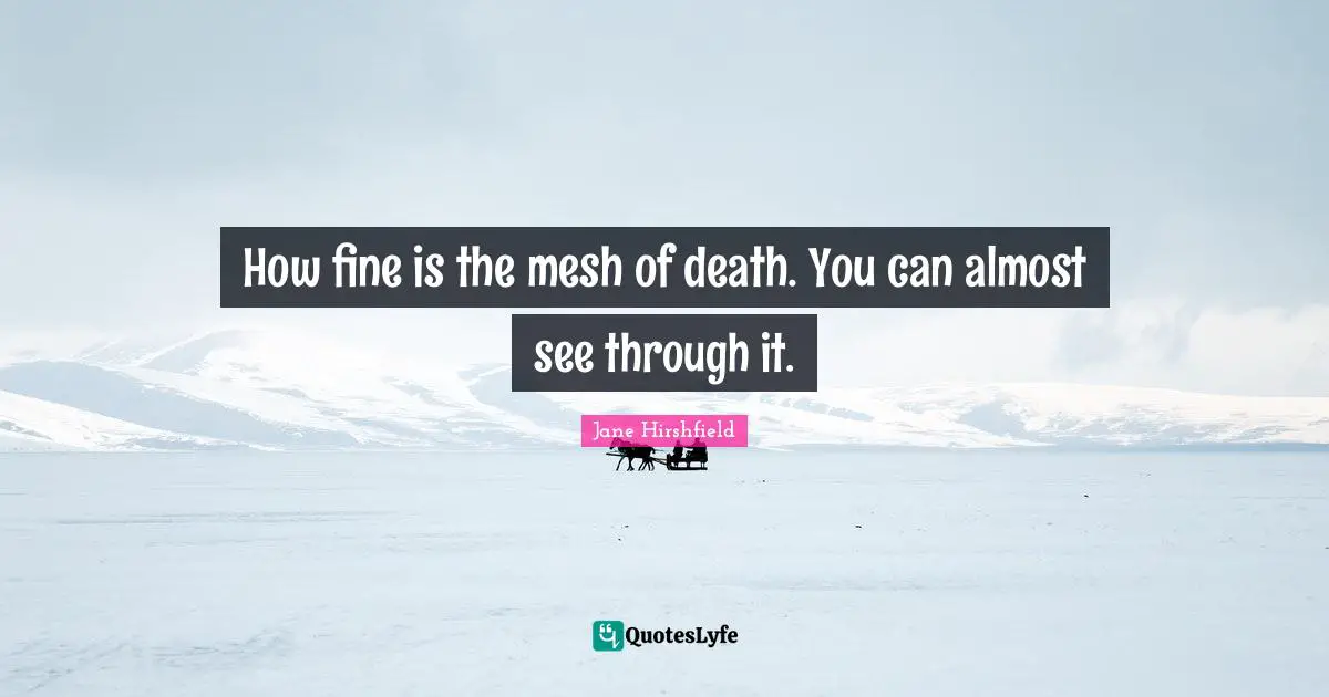 How fine is the mesh of death. You can almost see through it.