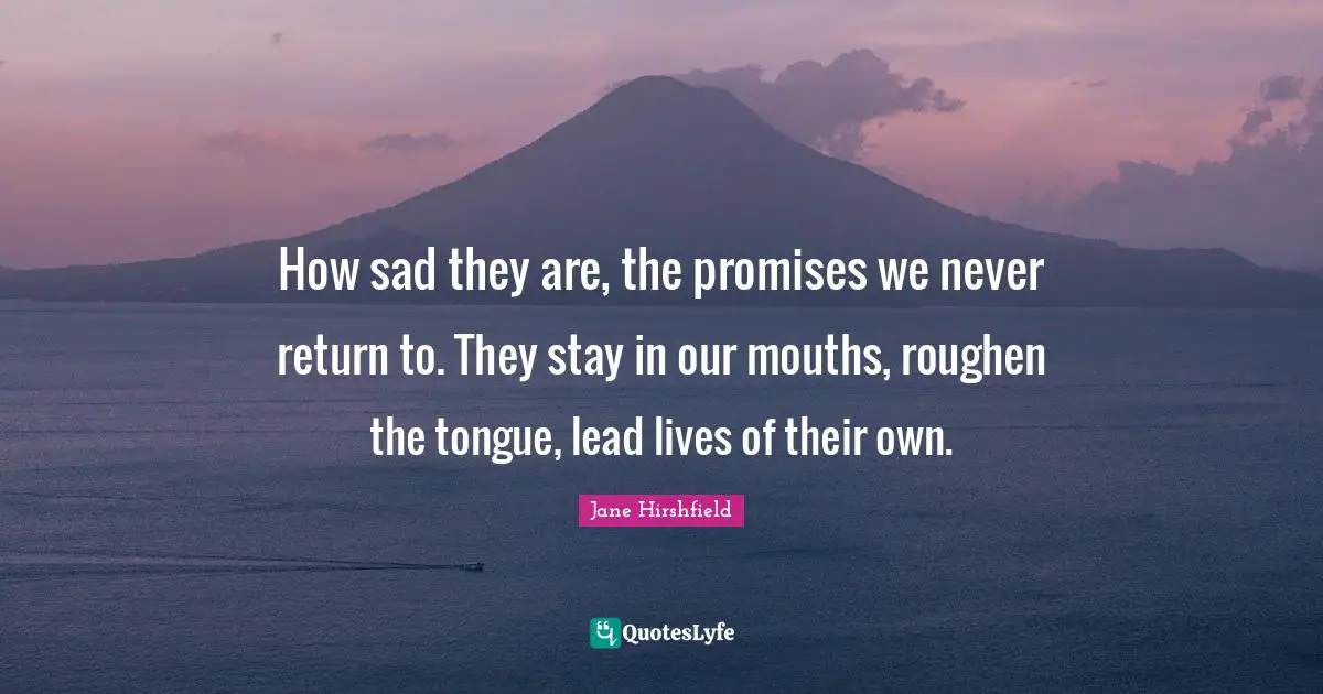 How sad they are, the promises we never return to. They stay in our mouths, roughen the tongue, lead lives of their own.