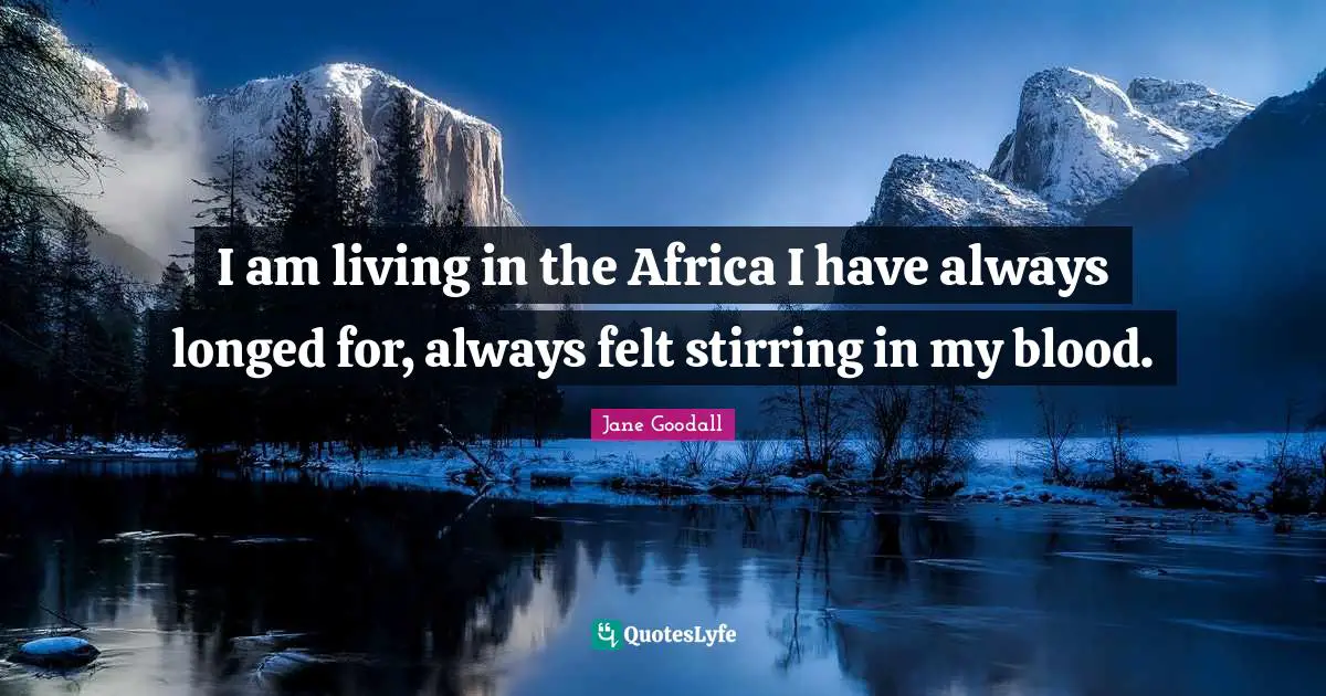 I am living in the Africa I have always longed for, always felt stirring in my blood.