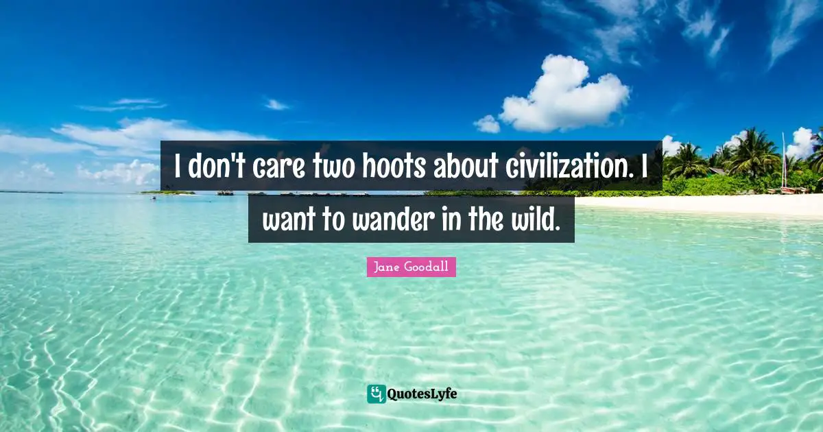 I don't care two hoots about civilization. I want to wander in the wild.