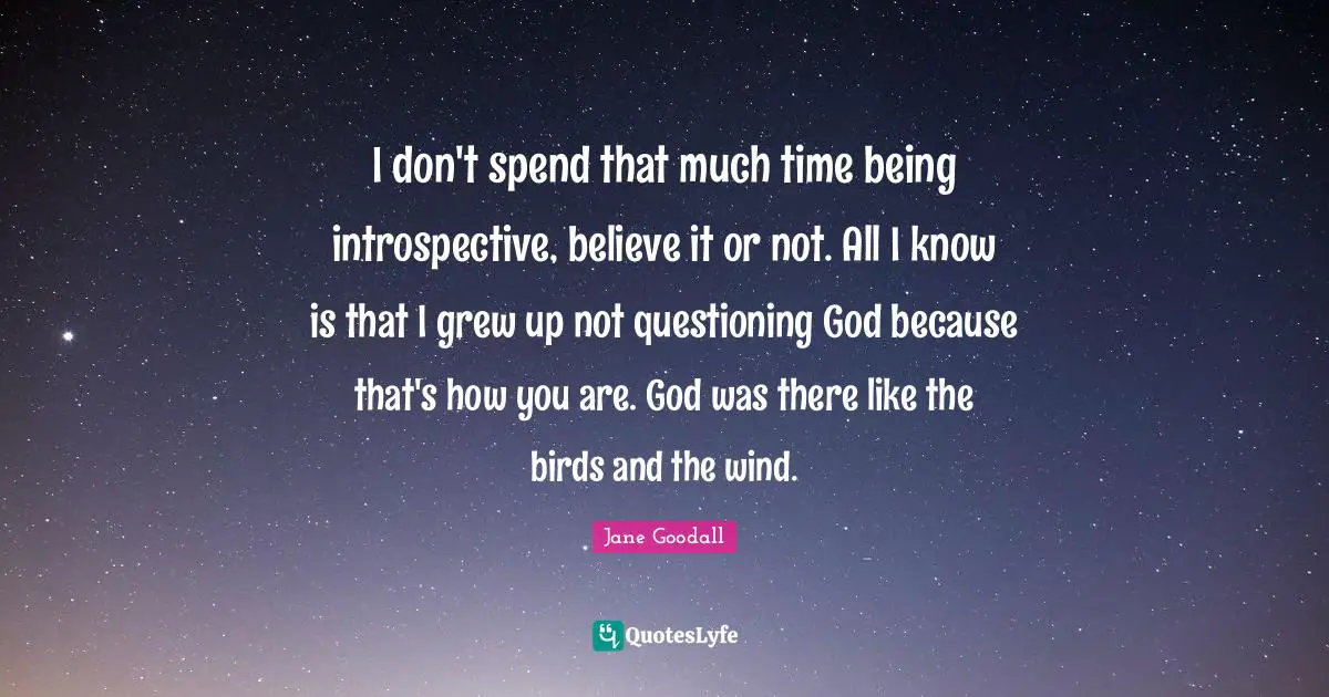 I don't spend that much time being introspective, believe it or not. All I know is that I grew up not questioning God because that's how you are. God was there like the birds and the wind.