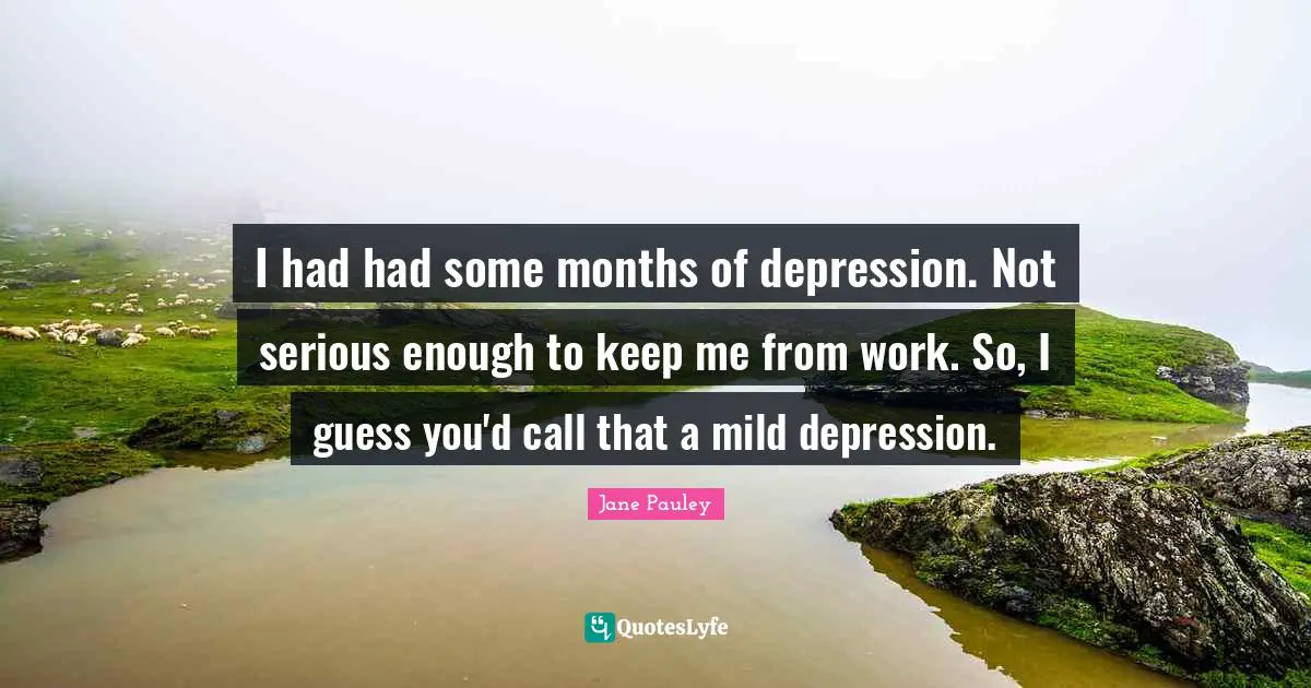 I had had some months of depression. Not serious enough to keep me from work. So, I guess you'd call that a mild depression.