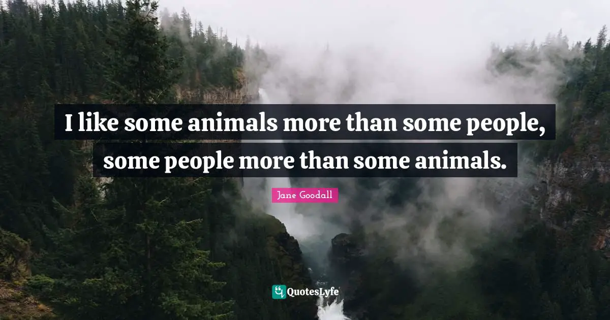 I like some animals more than some people, some people more than some animals.