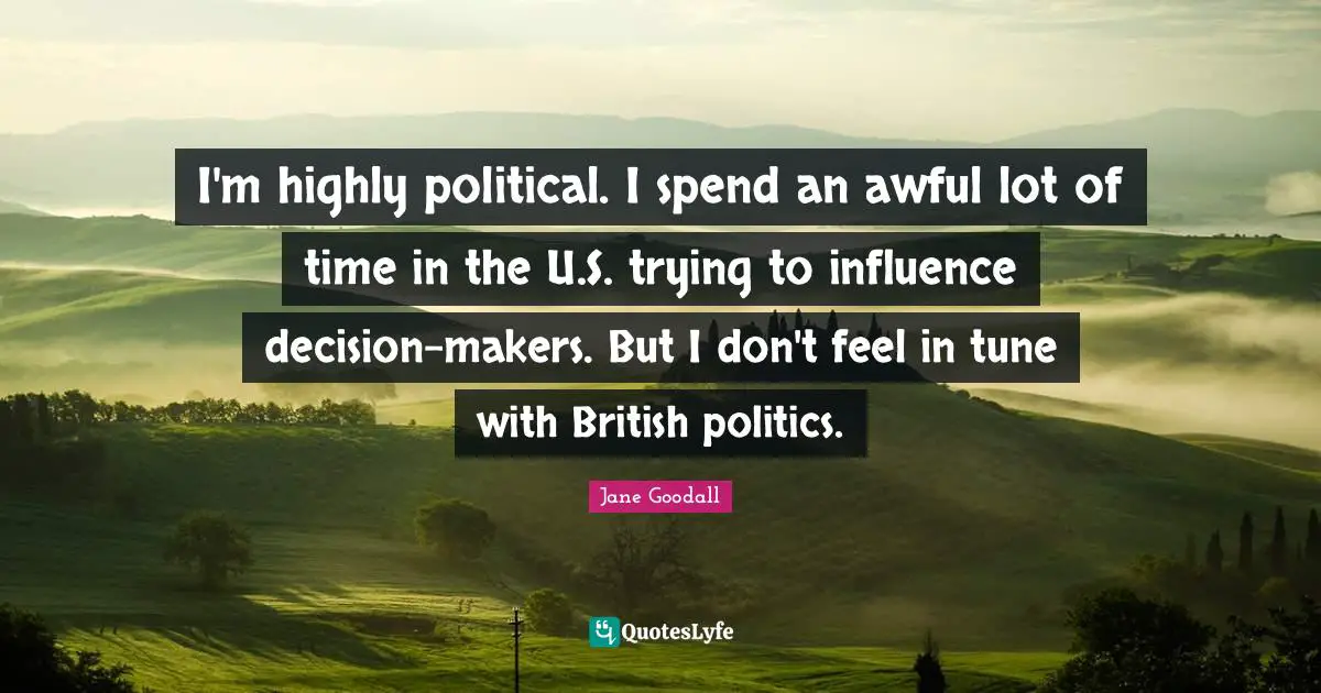I'm highly political. I spend an awful lot of time in the U.S. trying to influence decision-makers. But I don't feel in tune with British politics.