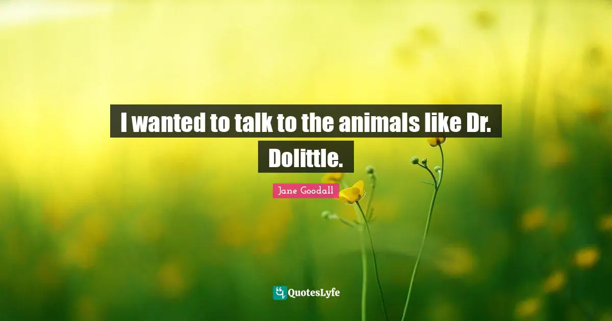 I wanted to talk to the animals like Dr. Dolittle.