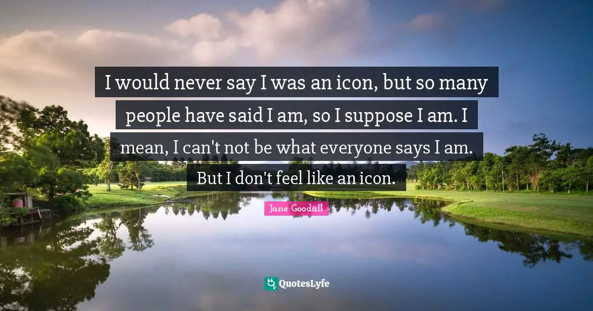 I would never say I was an icon, but so many people have said I am, so I suppose I am. I mean, I can't not be what everyone says I am. But I don't feel like an icon.