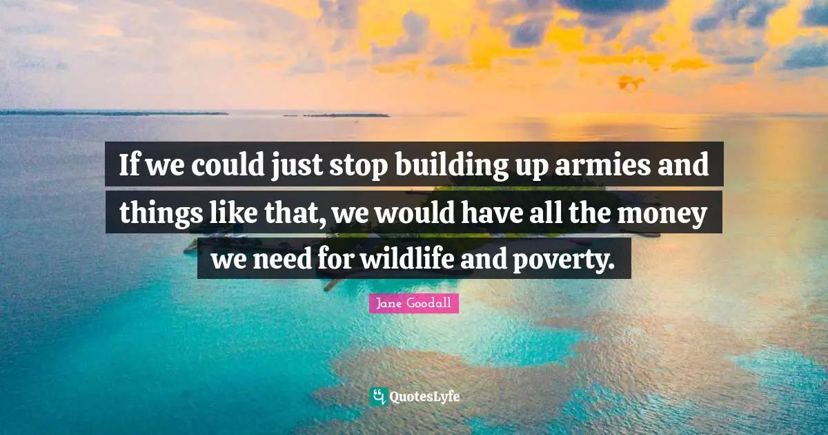 Building Up Quotes: "If we could just stop building up armies and things like that, we would have all the money we need for wildlife and poverty."