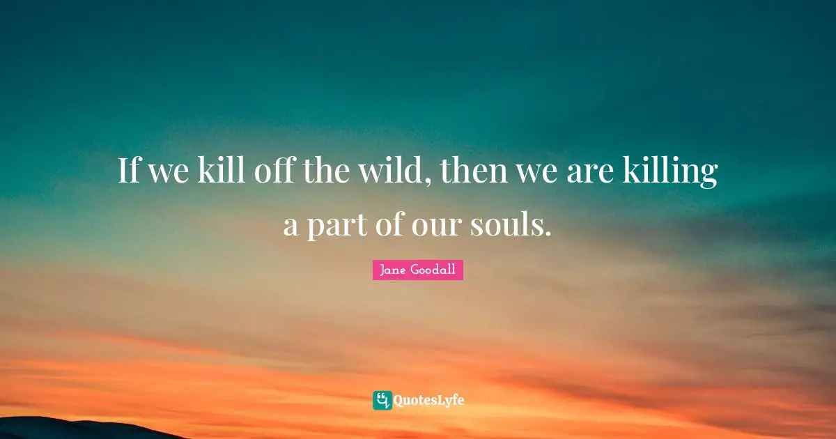 If we kill off the wild, then we are killing a part of our souls.