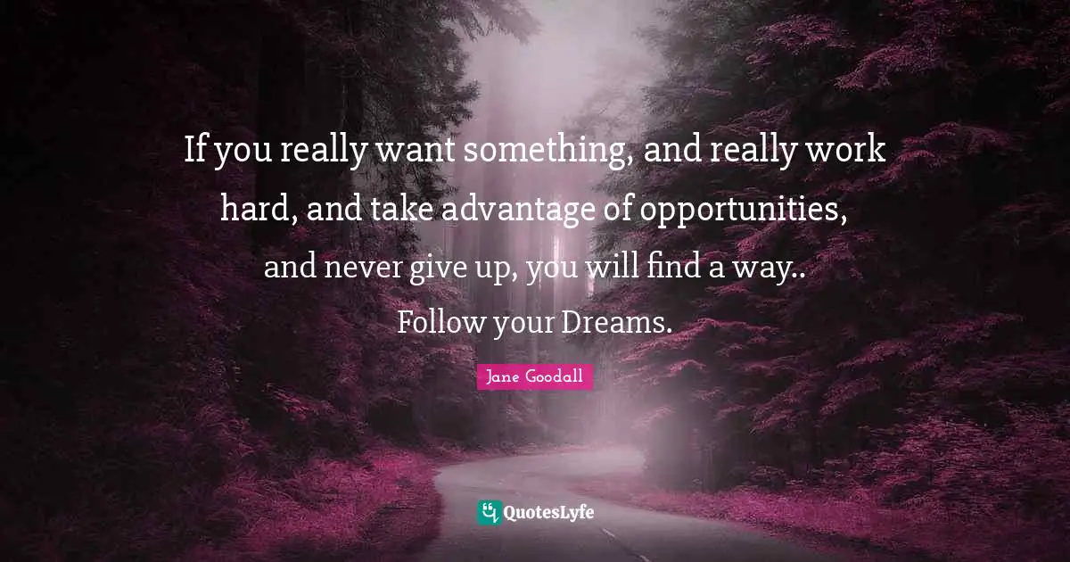 Jane Goodall Quotes: If you really want something, and really work hard, and take advantage of opportunities, and never give up, you will find a way.. Follow your Dreams.