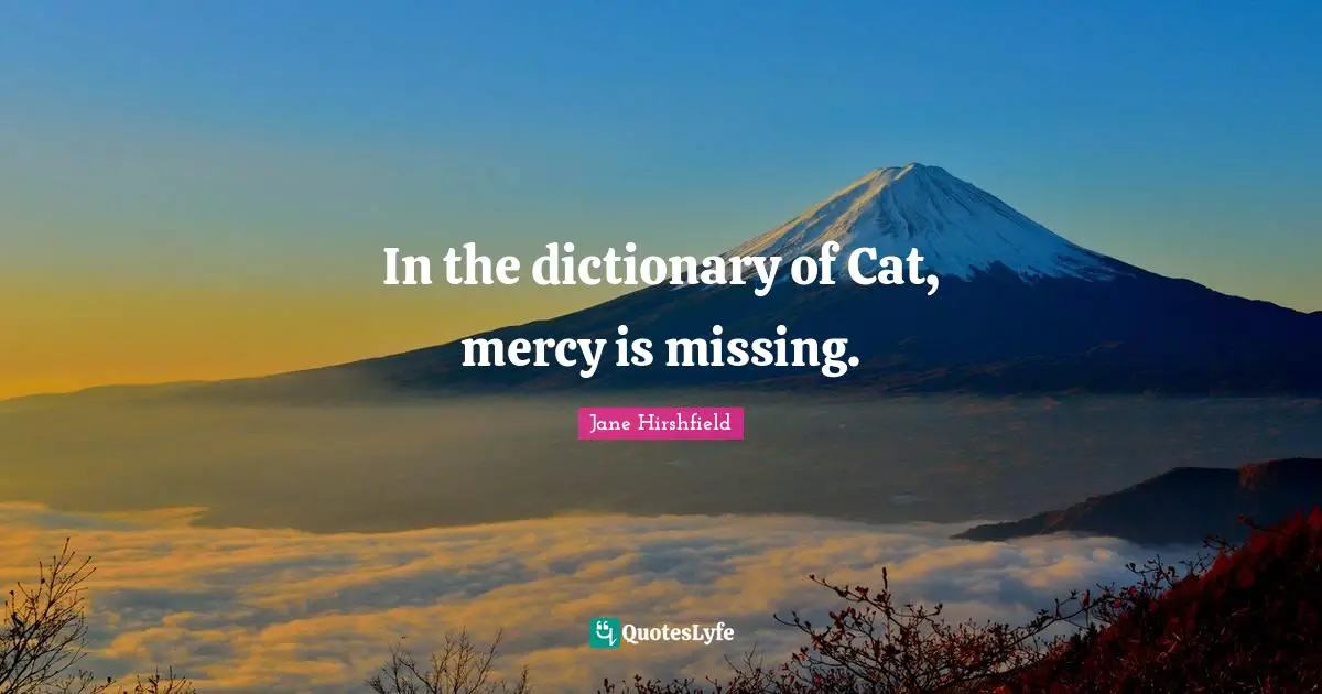 In the dictionary of Cat, mercy is missing.