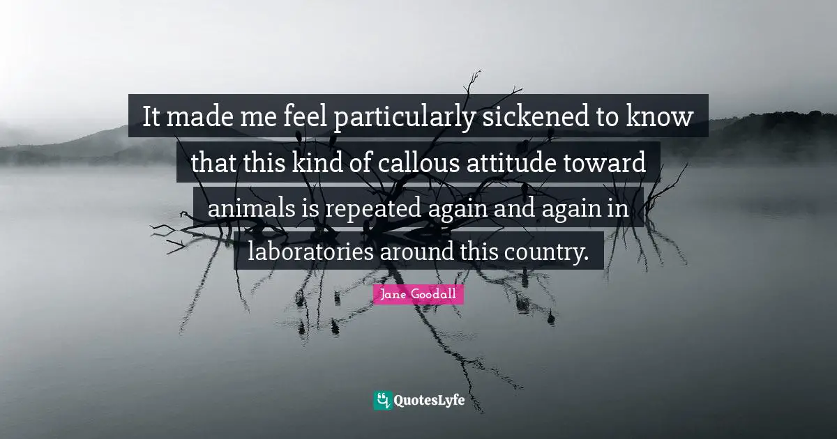 It made me feel particularly sickened to know that this kind of callous attitude toward animals is repeated again and again in laboratories around this country.