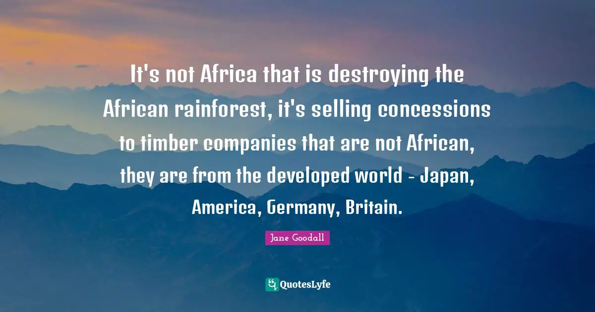 It's not Africa that is destroying the African rainforest, it's selling concessions to timber companies that are not African, they are from the developed world - Japan, America, Germany, Britain.