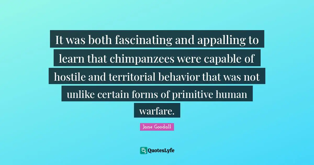It was both fascinating and appalling to learn that chimpanzees were capable of hostile and territorial behavior that was not unlike certain forms of primitive human warfare.