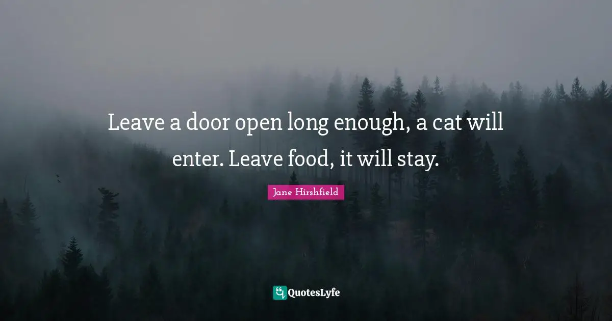 Leave a door open long enough, a cat will enter. Leave food, it will stay.