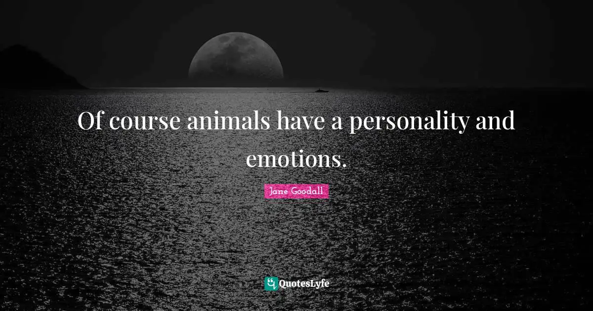 Of course animals have a personality and emotions.