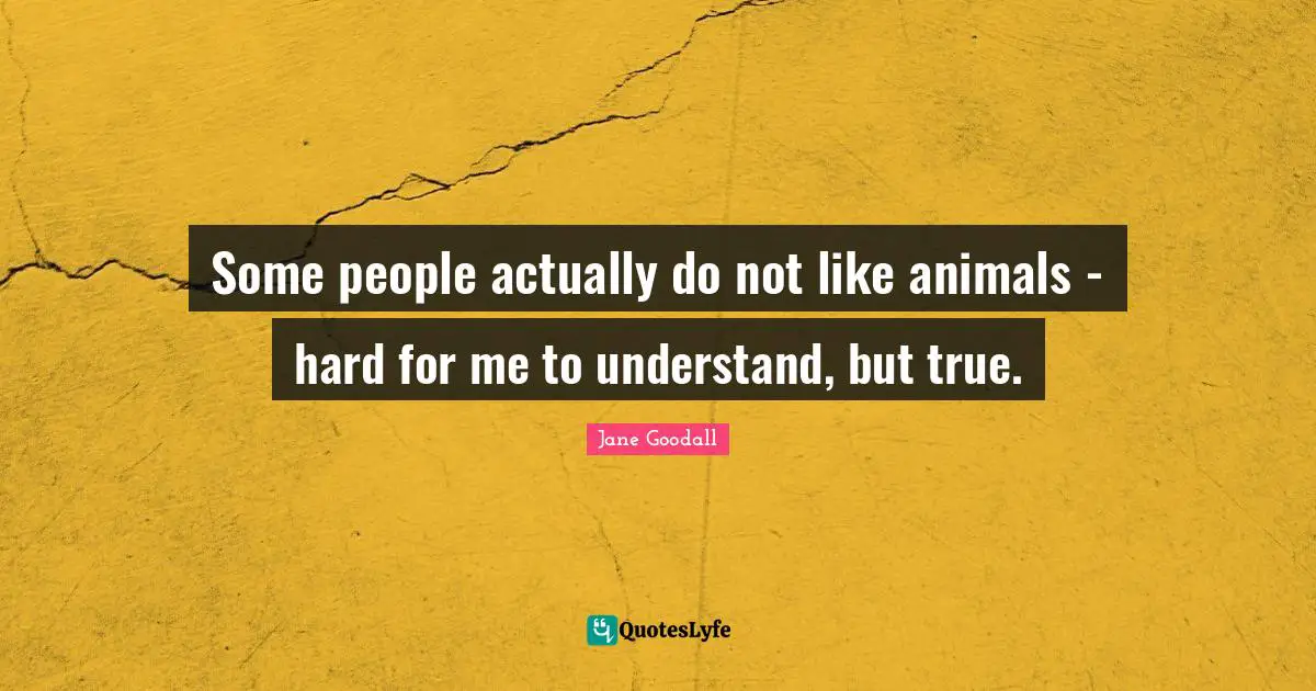 Some people actually do not like animals - hard for me to understand, but true.
