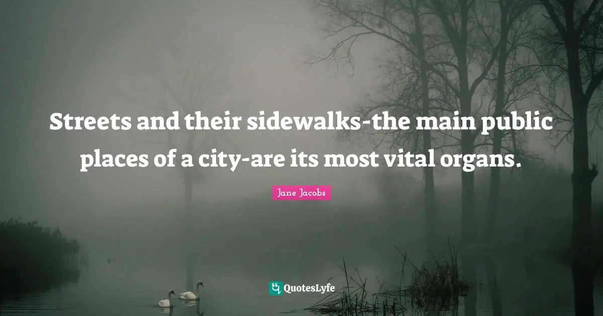 Cities Quotes: "Streets and their sidewalks-the main public places of a city-are its most vital organs."