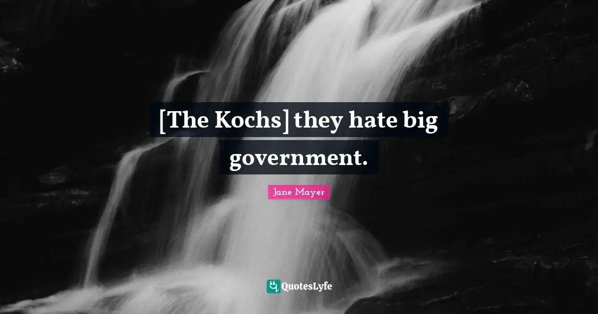 [The Kochs] they hate big government.