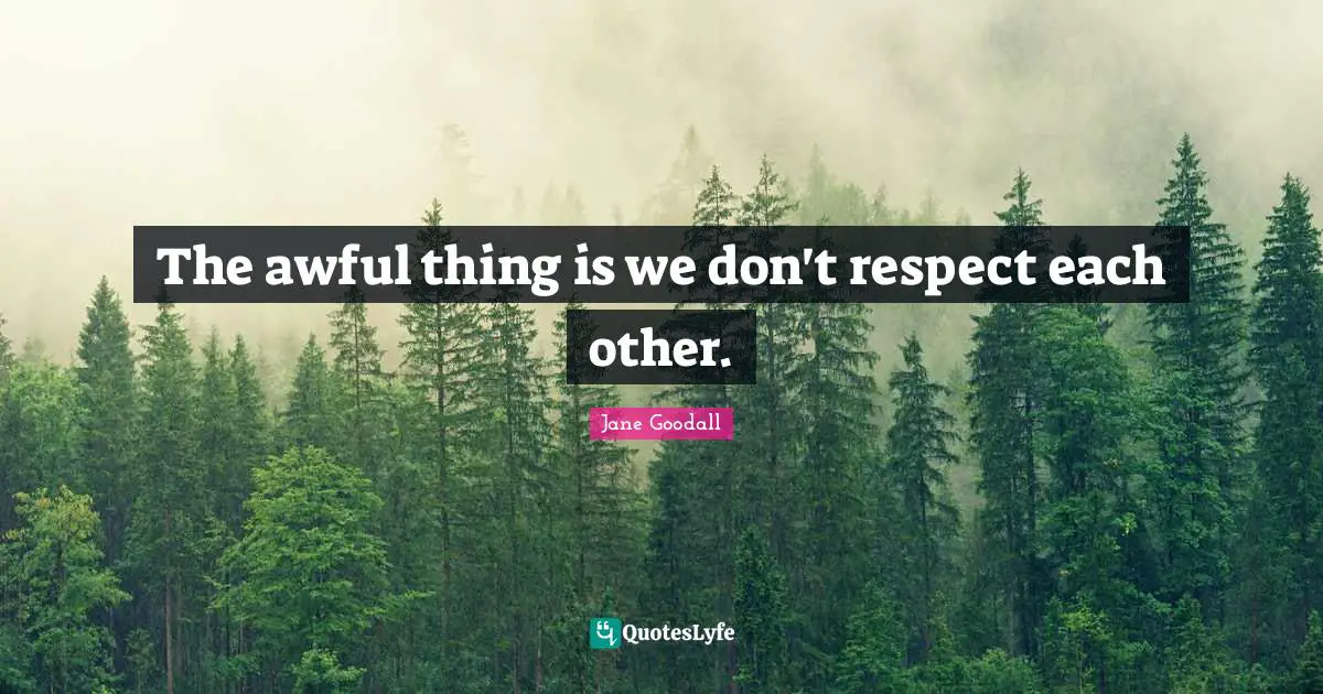 The awful thing is we don't respect each other.