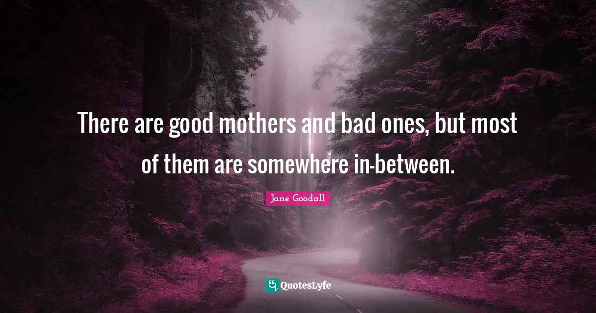 There are good mothers and bad ones, but most of them are somewhere in-between.
