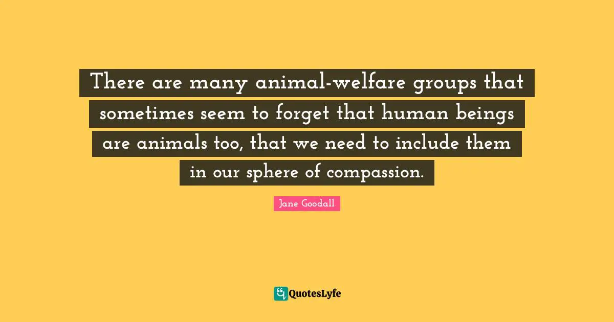 There are many animal-welfare groups that sometimes seem to forget that human beings are animals too, that we need to include them in our sphere of compassion.