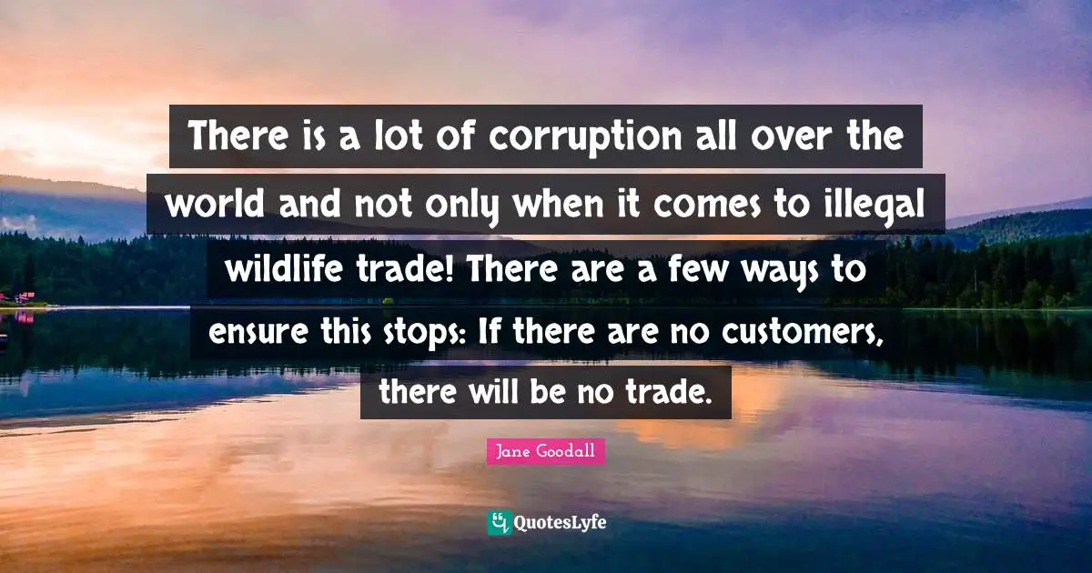 There is a lot of corruption all over the world and not only when it comes to illegal wildlife trade! There are a few ways to ensure this stops: If there are no customers, there will be no trade.