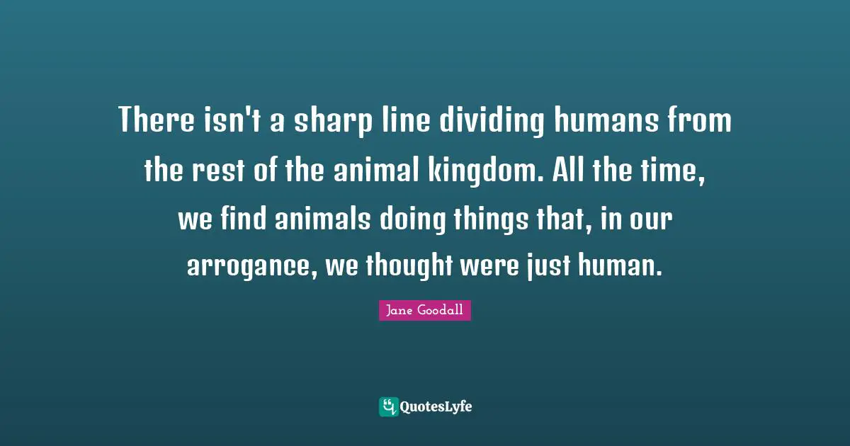Dividing Quotes: "There isn't a sharp line dividing humans from the rest of the animal kingdom. All the time, we find animals doing things that, in our arrogance, we thought were just human."