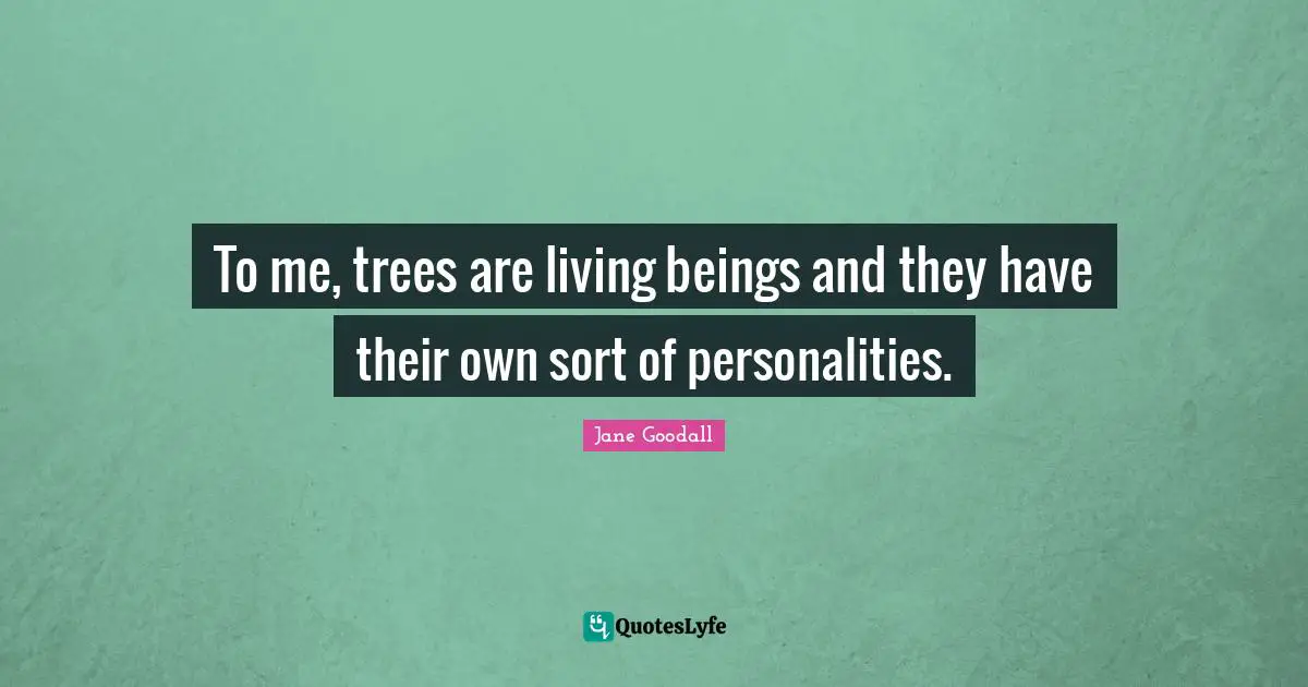 To me, trees are living beings and they have their own sort of personalities.