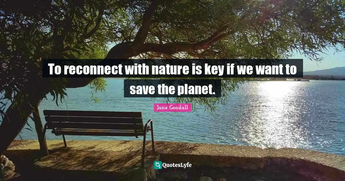 Planets Quotes: "To reconnect with nature is key if we want to save the planet."