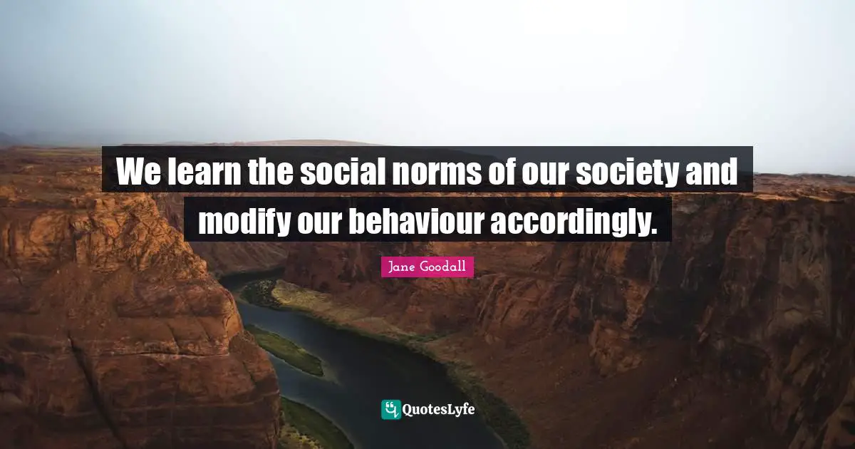 We learn the social norms of our society and modify our behaviour accordingly.