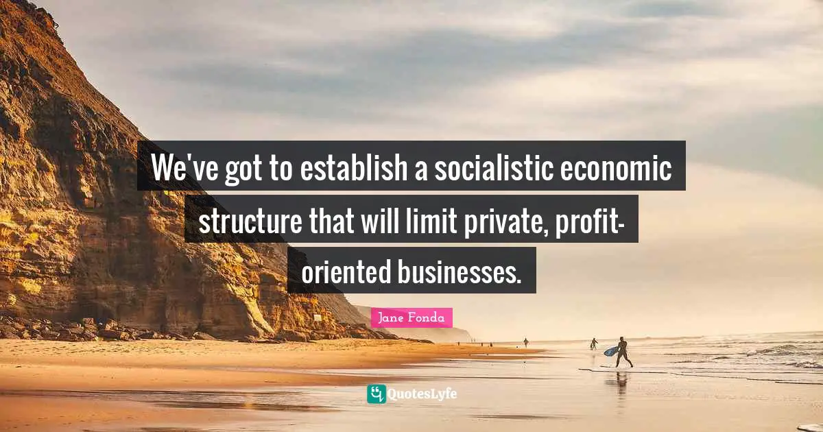 We've got to establish a socialistic economic structure that will limit private, profit-oriented businesses.