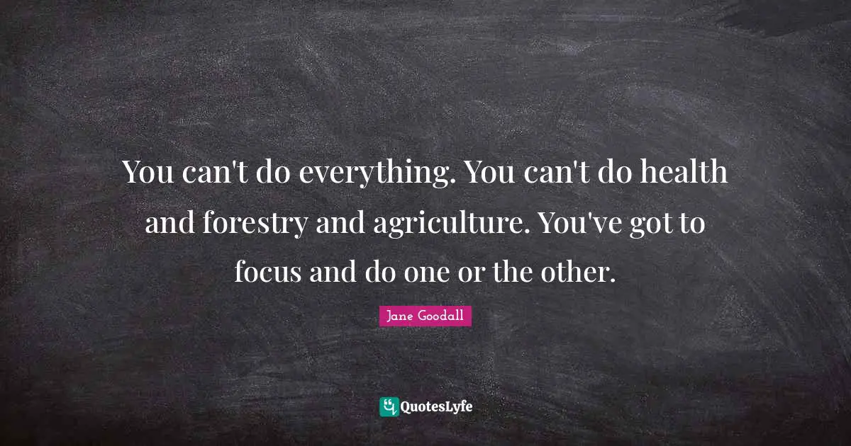 You can't do everything. You can't do health and forestry and agriculture. You've got to focus and do one or the other.