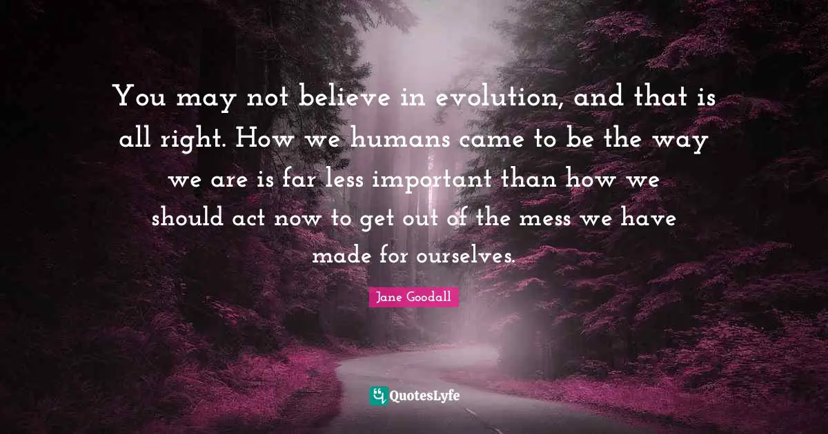 You may not believe in evolution, and that is all right. How we humans came to be the way we are is far less important than how we should act now to get out of the mess we have made for ourselves.