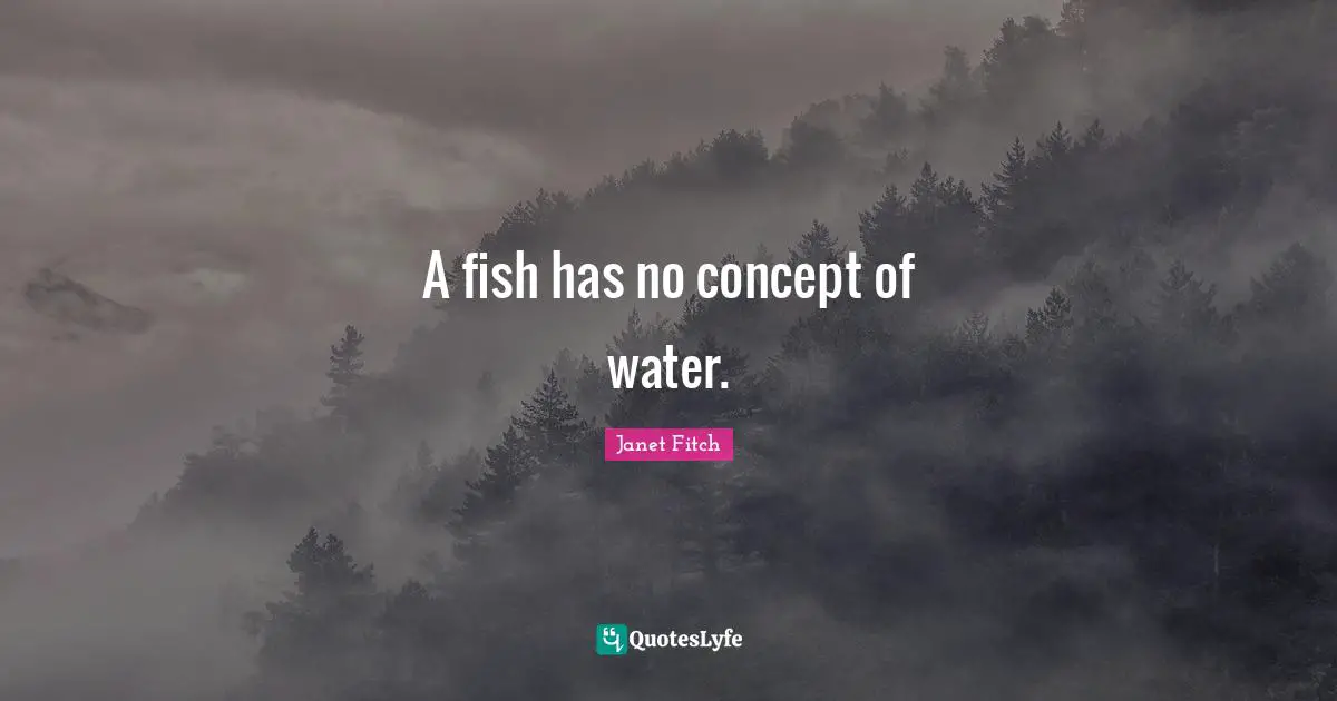 A fish has no concept of water.