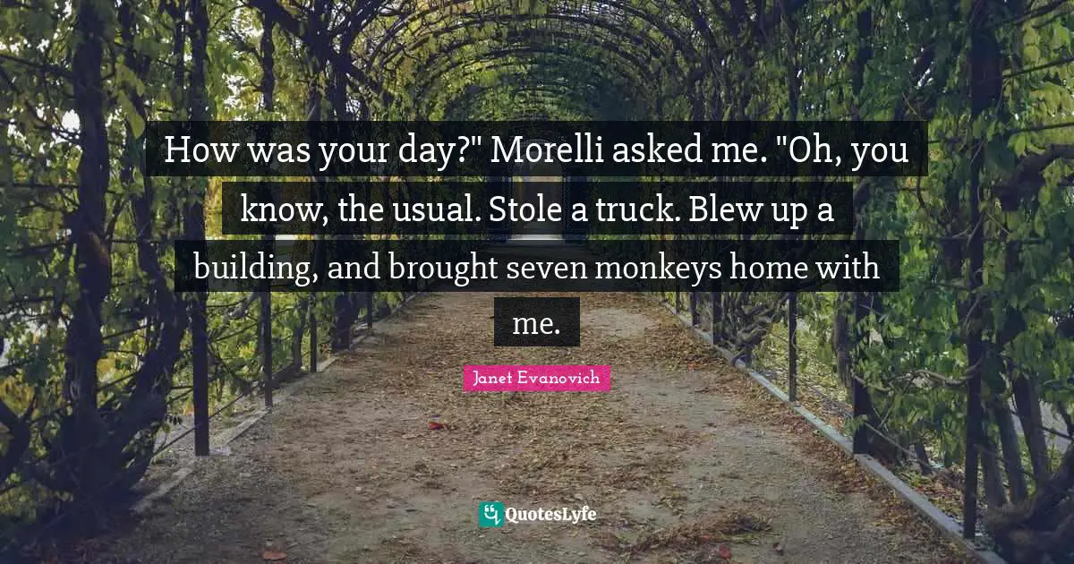 How was your day?" Morelli asked me. "Oh, you know, the usual. Stole a truck. Blew up a building, and brought seven monkeys home with me.