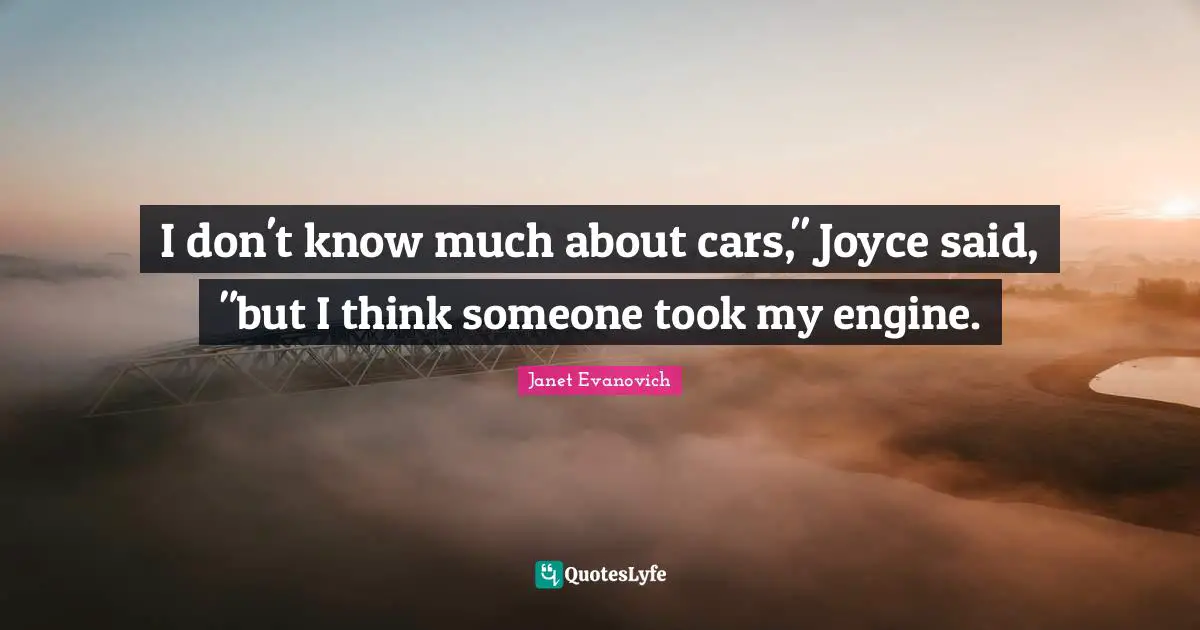 I don't know much about cars," Joyce said, "but I think someone took my engine.