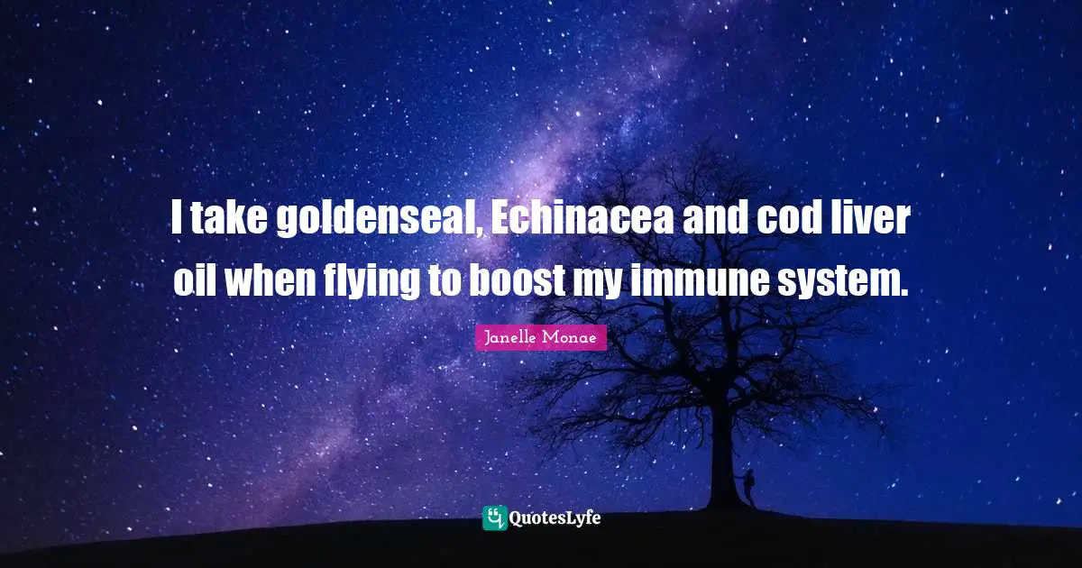 I take goldenseal, Echinacea and cod liver oil when flying to boost my immune system.