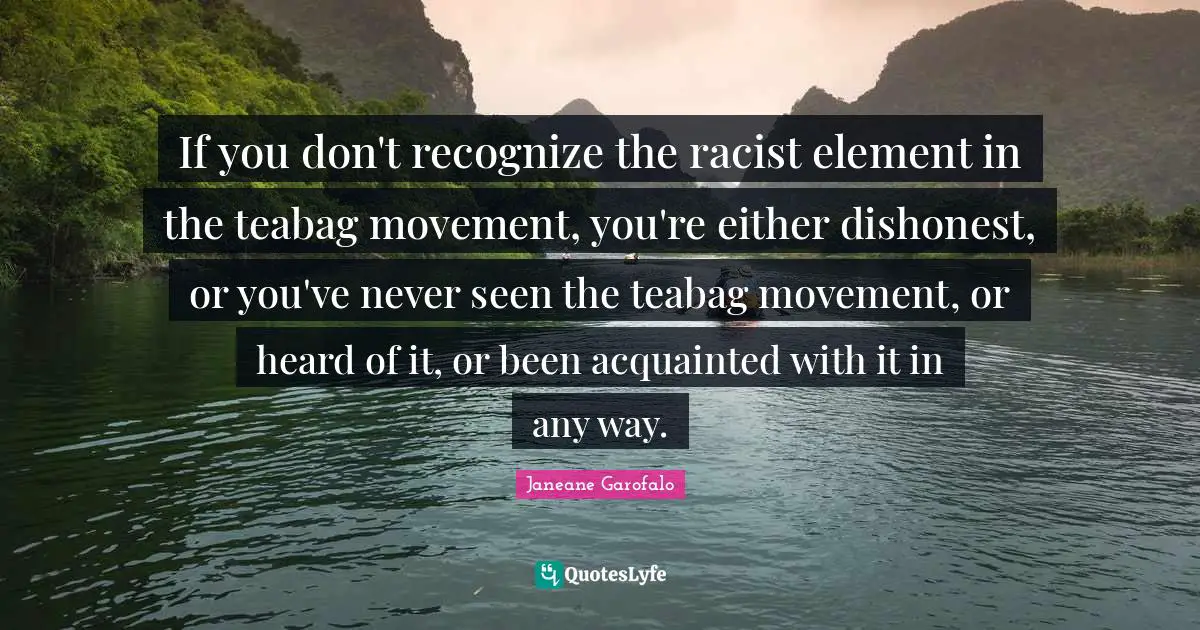 If you don't recognize the racist element in the teabag movement, you're either dishonest, or you've never seen the teabag movement, or heard of it, or been acquainted with it in any way.
