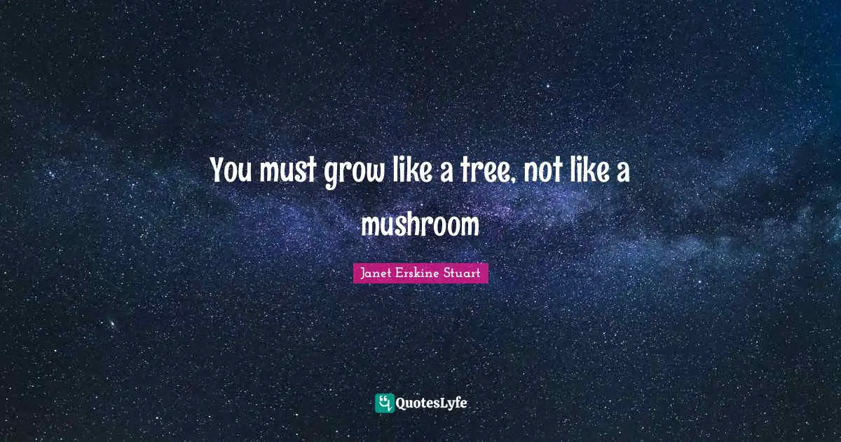 You must grow like a tree, not like a mushroom