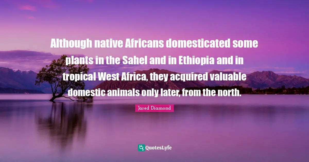 Jared Diamond Quotes: "Although native Africans domesticated some plants in the Sahel and in Ethiopia and in tropical West Africa, they acquired valuable domestic animals only later, from the north."