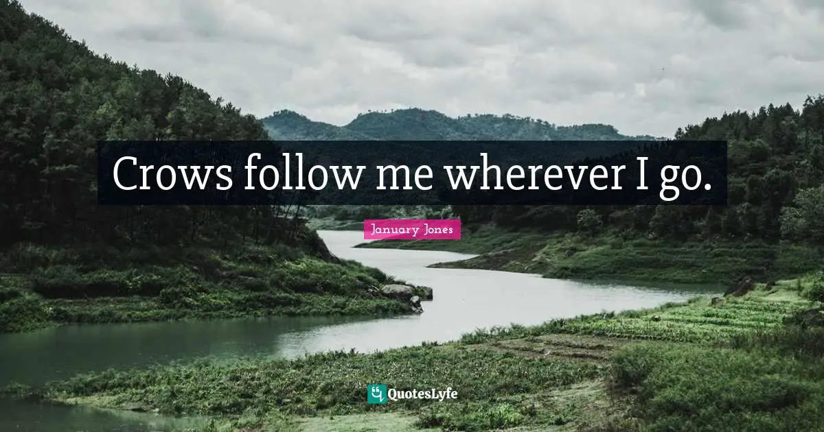 Crows follow me wherever I go.