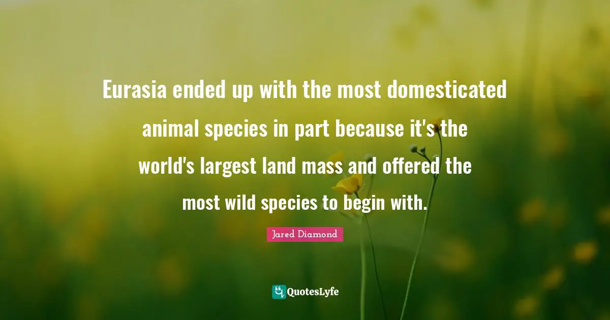Eurasia ended up with the most domesticated animal species in part because it's the world's largest land mass and offered the most wild species to begin with.
